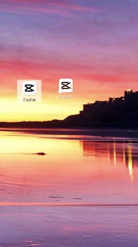 I purchased Capcut Pro subscription for just 350৳.01