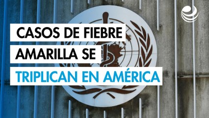 Los casos de fiebre amarilla se triplican en América, según la OMS