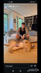 Fedez con silvio