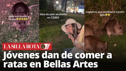 Plan "aesthetic" en Bellas Artes, jóvenes alimentan ratas