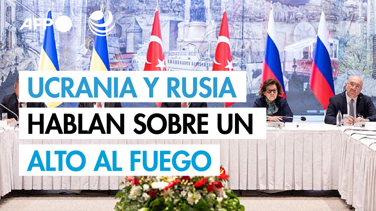 Ucrania y Rusia hablaron sobre un alto al fuego y una reunión Zelenski-Putin