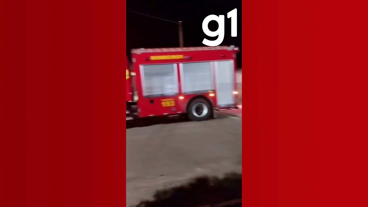 VÍDEO pitbull foge e sobe em telhado de vizinho