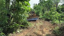 Reviving the Old Road in the Mountain Plantation with a D6R XL Bulldozer