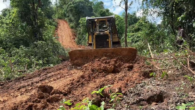 Caterpillar Bulldozer D6R XL Restoring Forgotten Plantation Trails