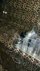 Discover Amazing Content You Can’t Miss! 🎥✨