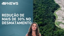 Brasil reduz desmatamento em 2024 e atinge melhor resultado desde 2019; Patricia Costa comenta
