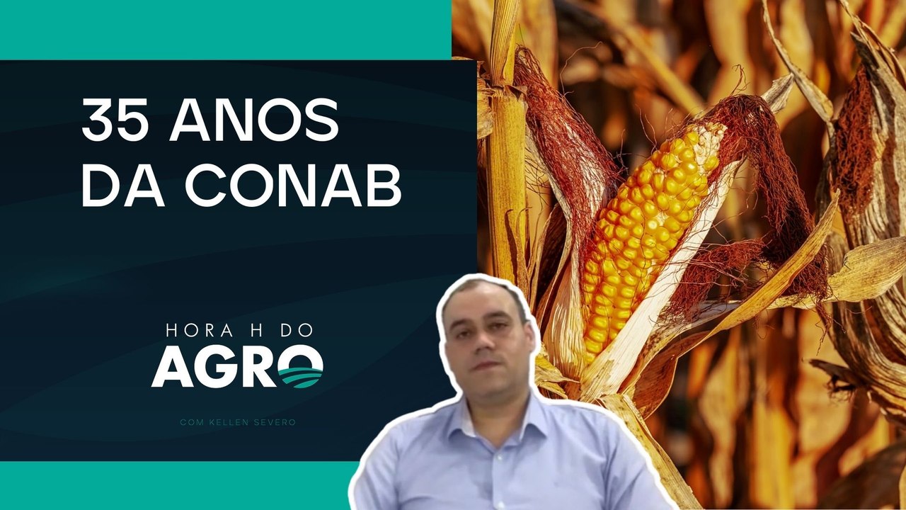 Safra 24/25 teve ganho de produtividade e incentivos financeiros | HORA H DO AGRO