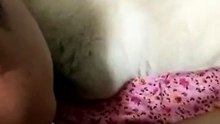 狗:还笑，这死动静你咋跟他过的！