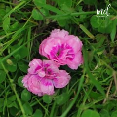 Discover the magic of hacks and transform your day! ✨