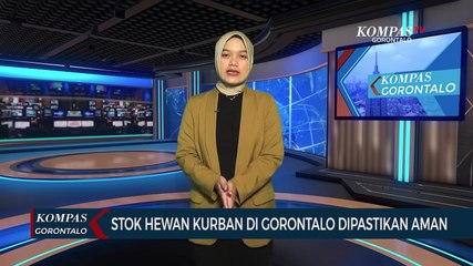 Stok Hewan Kurban di Gorontalo Dipastikan Aman, Diperkirakan Mencapai 18 Ribu Ekor