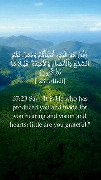 67:23 کہو کہ وہی ہے جس نے تمہیں پیدا کیا اور تمہارے لیے کان اور بصارت اور دل بنائے، تم بہت کم شکر گزار ہو۔