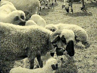 La Montagne Sacrée ( Der Heilige Berg ) - 1926 ( Muet )