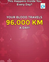 Your Heart Runs a Marathon Every Day — Without You Even Noticing! | EduTech Era