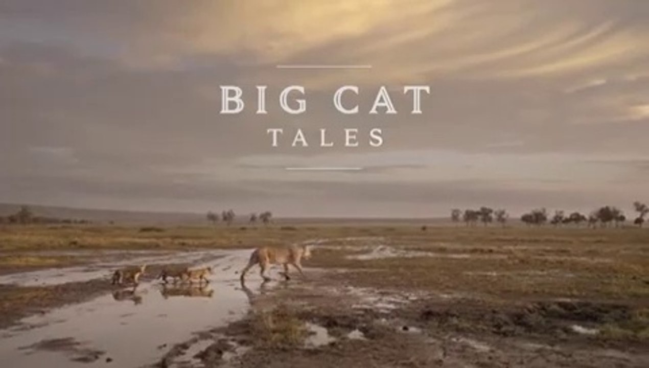 Rebirth In The Mara - Full Documentary