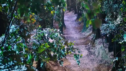 Just Wanna Be With You Ep 2 English Sub