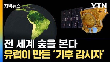 유럽 우주선 '바이오매스'가 숲 깊숙한 곳까지 탐사 🚀