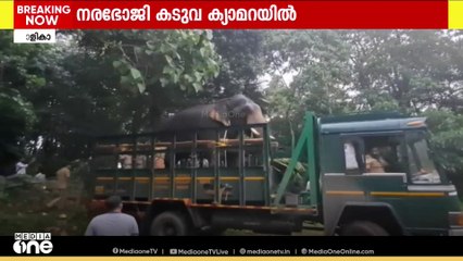 'മലപ്പുറം കാളികാവിൽ വനംവകുപ്പ് സ്ഥാപിച്ച ക്യാമറയിൽ  നരഭോജി  കടുവയുടെ  ചിത്രം പതിഞ്ഞു'