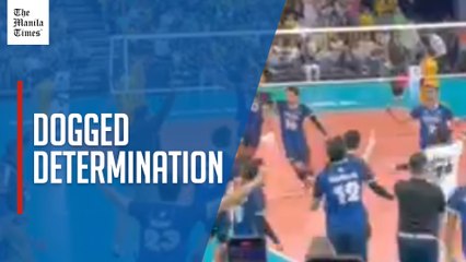 NU completes five-peat in UAAP 87 men's volleyball