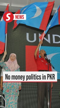 Saifuddin denies practice of money politics in PKR polls