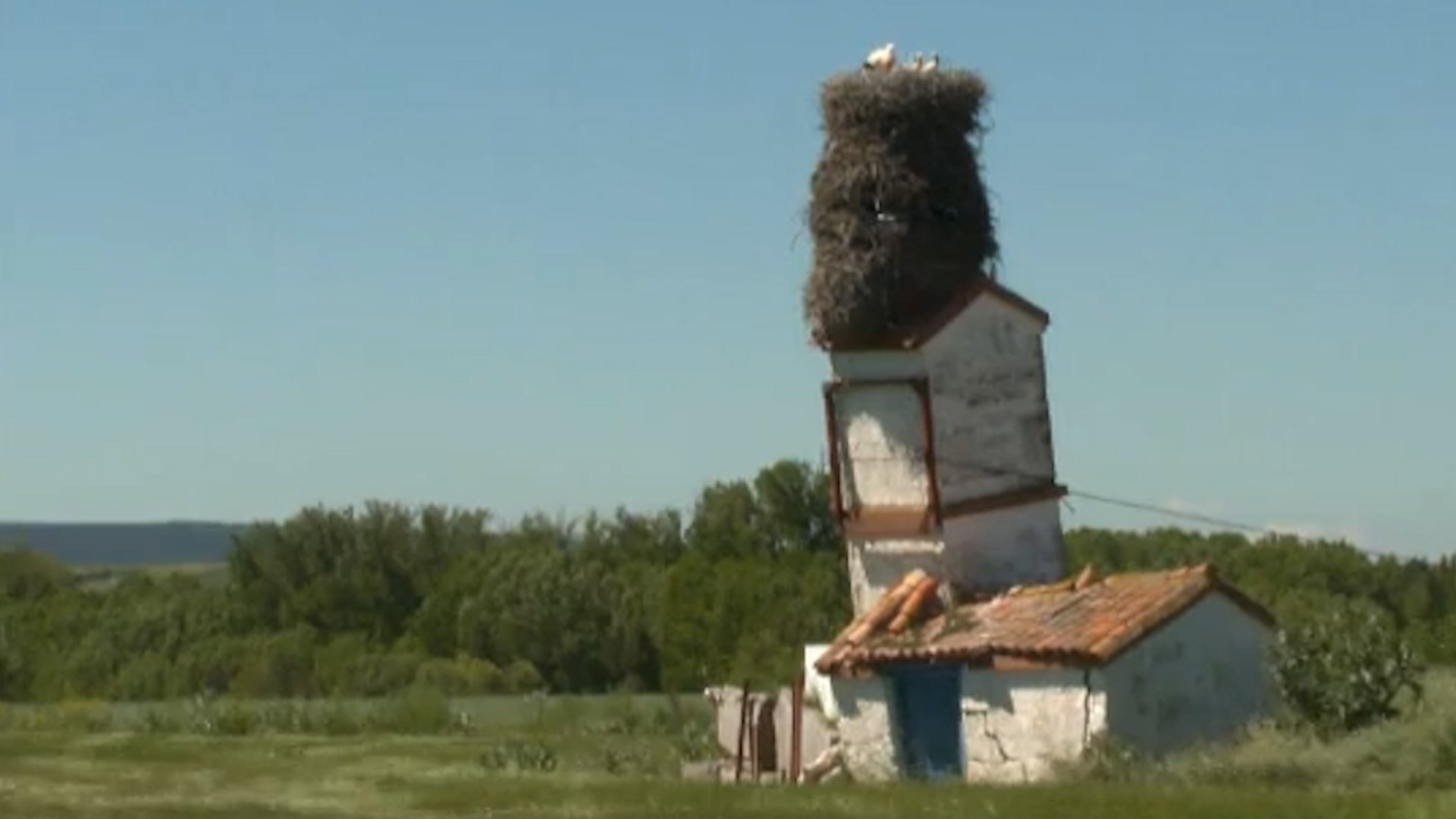 Un nido de cig�e�a que se ha hecho viral en Burgos. Se mantiene, en equilibrio, sobre una torre que ya hay quien se atreve a comparar con la Torre de Pisa. Desde luego, como la de Pisa, est� siendo el objetivo de miles de fotos.