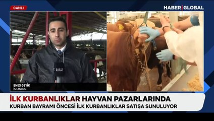 Kurbanlık fiyatları ne kadar?