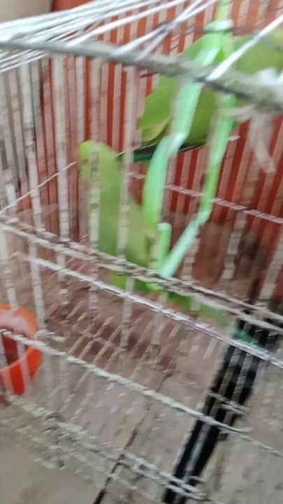 video_20250517_083753