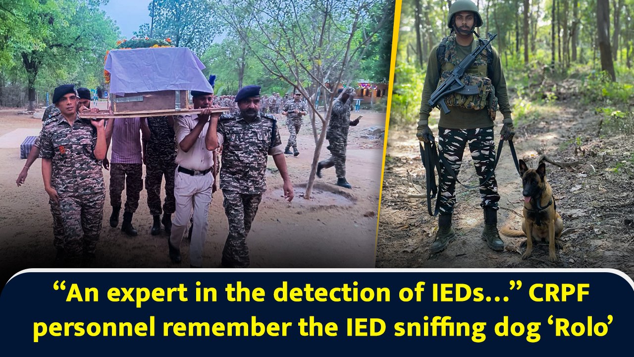 “An expert in the detection of IEDs…” CRPF personnel remember the IED sniffing dog ‘Rolo’