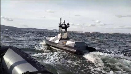 SeaD 23 Boat Overview 🚤