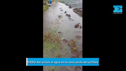 VIDEO. "Perdimos la cosecha": el agua arrasó con los campos hortícolas en la zona oeste de La Plata