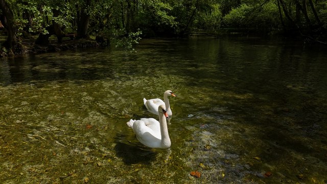 Saraybosna’nın doğa harikası: Yeşilin binbir tonu bir arada!