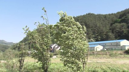 강원·경북 동해안 강풍 주의보...시설물 피해 주의 / YTN