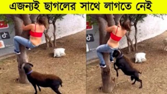 এসব পাগলাটে কর্মকাণ্ড দেখে হাসতে হাসতে চেয়ার থেকে পড়ে যাবেন! 😂 Funny Family Challenge 2025 | Ice Hand Game
