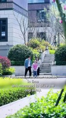 Man Serves Neighbor’s Dogs as a Delicious Meal — You Won’t Believe What Happens Next!