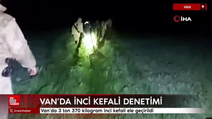 Van'da 3 ton 370 kilogram inci kefali ele geçirildi