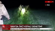 Van'da 3 ton 370 kilogram inci kefali ele geçirildi