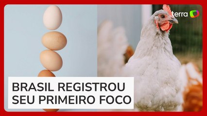 Gripe aviária: nos EUA, surto da doença causou disparada no preço dos ovos