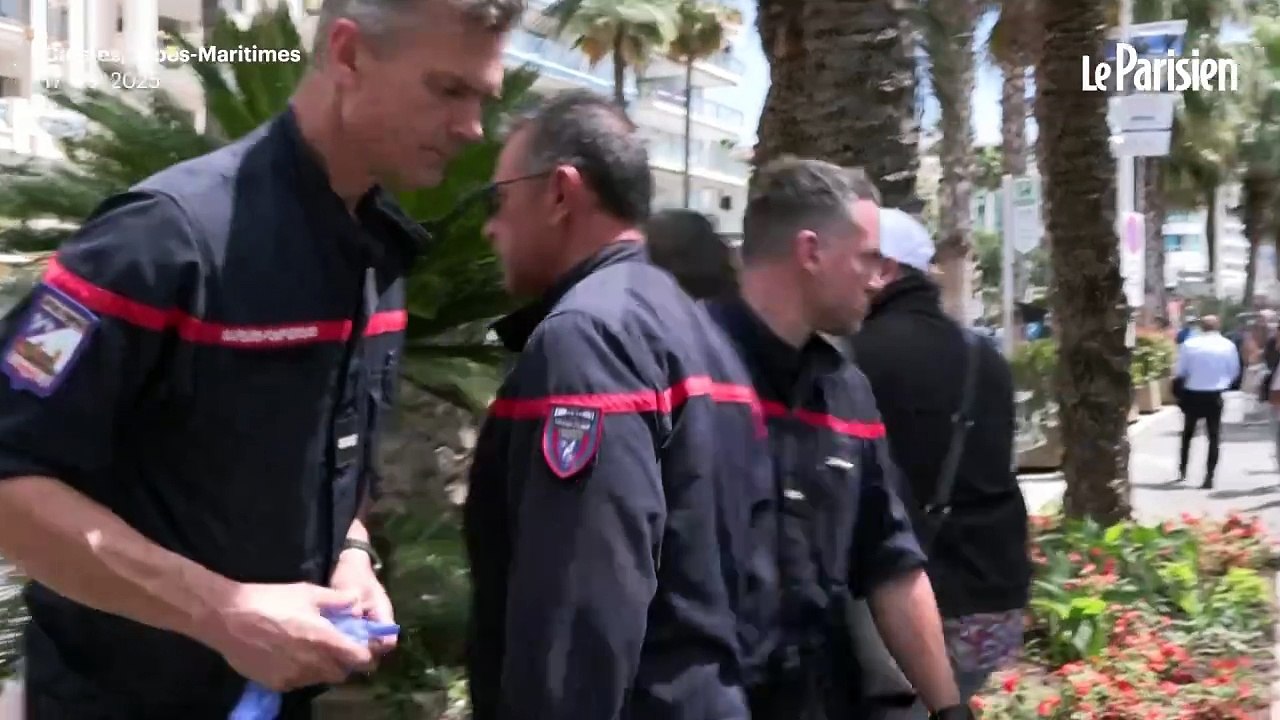 Cannes : un homme grièvement blessé par la chute d’un palmier sur la Croisette