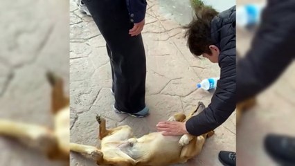 Dünya yansa umrunda değil