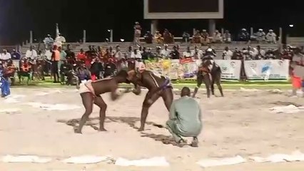 Drapeau du Chef de l'Etat : les champions de Dakar défient les Saloum-Saloum à Ziguinchor