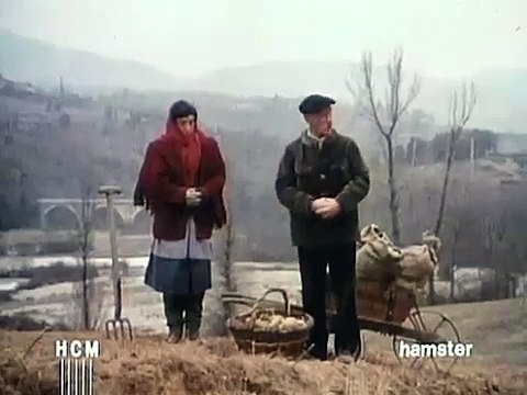 Publicité Ravioli Panzani