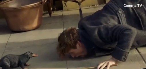 Animales fantásticos los crímenes de Grindelwald - película completa en español latino