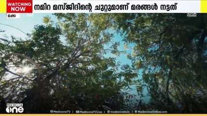 ഹജ്ജിൻ്റെ മുന്നോടിയായി അറഫയിൽ തണൽമരങ്ങൾ നട്ടുപിടിപ്പിച്ചു