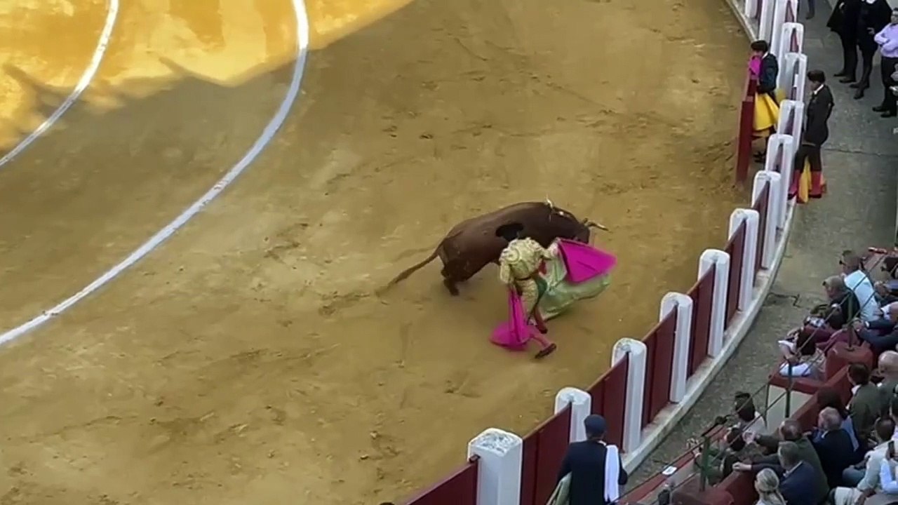 valladolid corrida 17 mayo 2025
