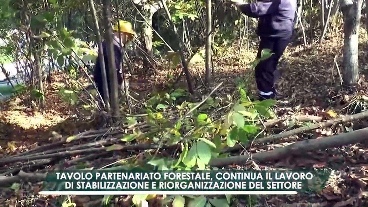 Caputo - #AgriWeekRecap #192-  PSR Campania (17.05.25)