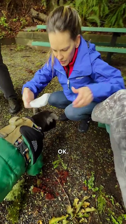😲 When Hilary Swank Steps Away, Shelter Pup Winnie’s Reaction Will Melt Your Heart! 🐾❤️