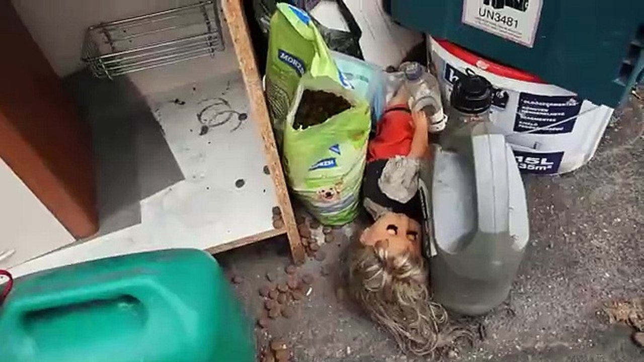 Bűnvadászok-Leromboltuk a bűnözők átjáróházát Újpesten