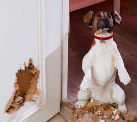 Clever Fixes for Household Headaches!