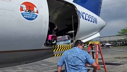 Ten Lives Club Receives 72 Cats From Wings of Rescue