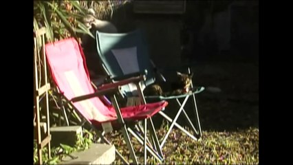 Leo Rauf: Canticle | movie | 2025 | Official Featurette