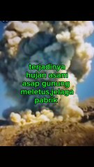 Bahaya Kerusakan Hutan dan Polusi Udara 🌳